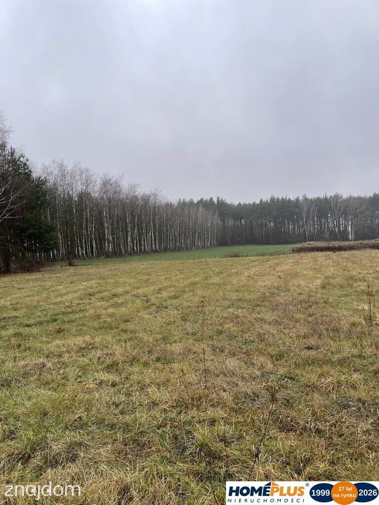 Działka bud. 4113 m² w Sierakowie koło Radzymina. - zdjęcie 6