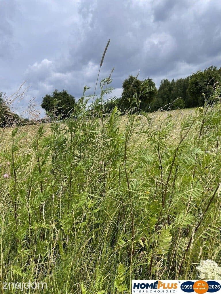 Działka 10 244 m² zabudowa mieszkaniowa i usługi - zdjęcie 3