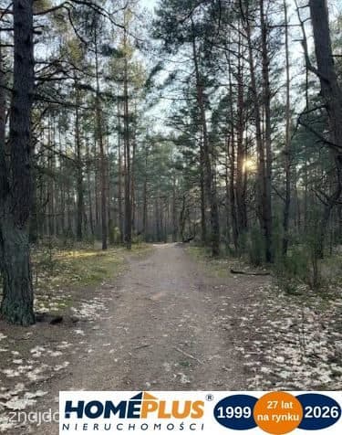Piękna działka w Dąbrowie Leśnej z pozwoleniem - zdjęcie 4