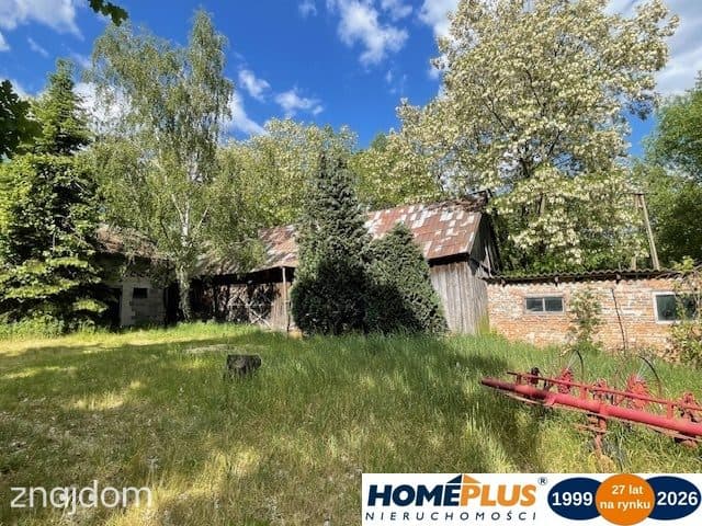 Siedlisko 4,3 ha 30 km od Warszawy 0% prowizji - zdjęcie 19