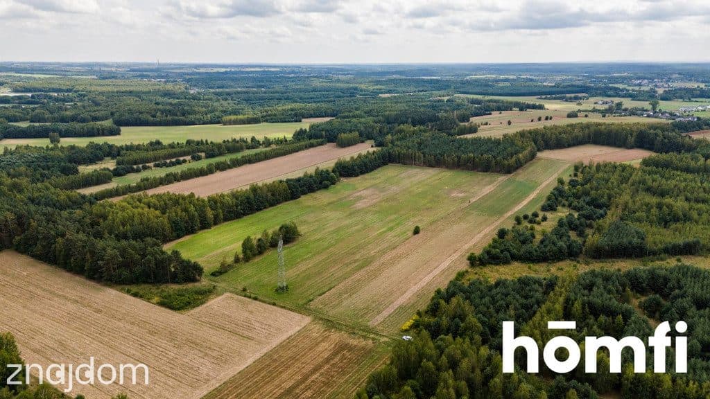 Działka bogata w piach, niedaleko Szydłowca. - zdjęcie 2