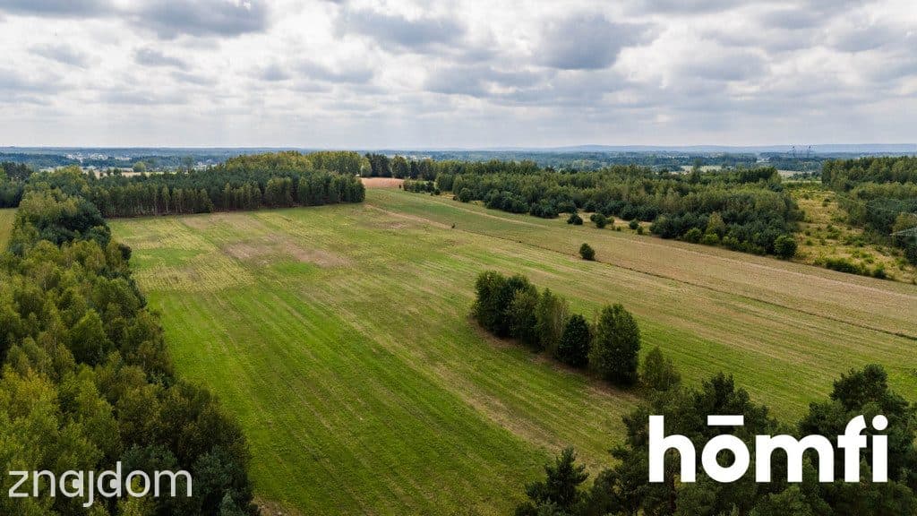 Działka bogata w piach, niedaleko Szydłowca. - zdjęcie 5