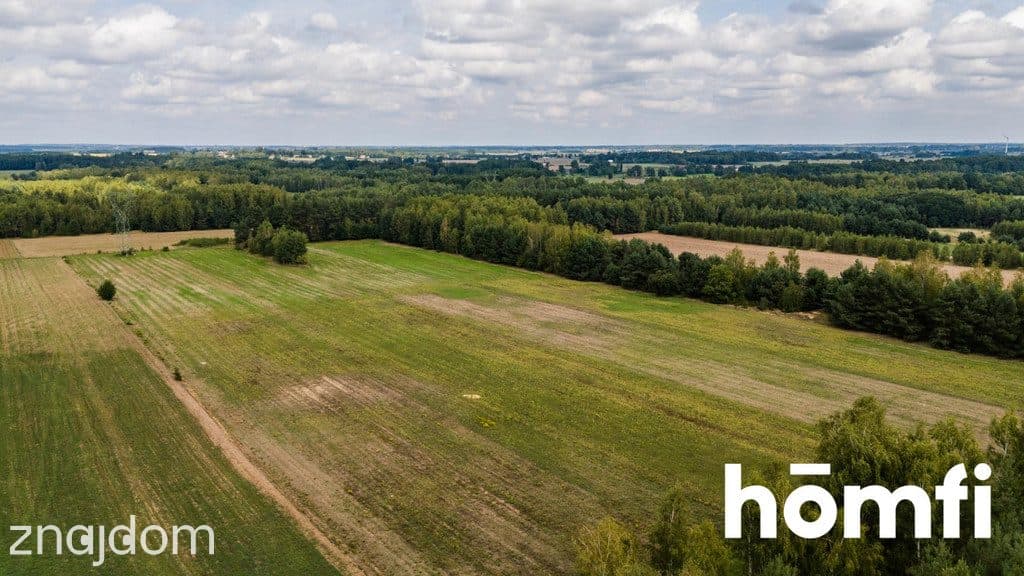 Działka bogata w piach, niedaleko Szydłowca. - zdjęcie 10