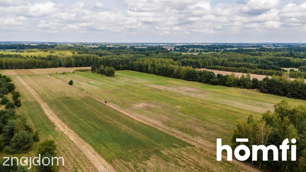 Działka bogata w piach, niedaleko Szydłowca. - zdjęcie 11
