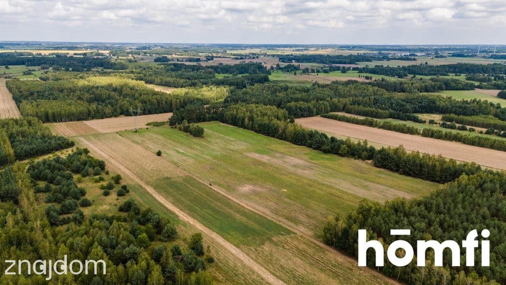 Działka bogata w piach, niedaleko Szydłowca. - zdjęcie 12