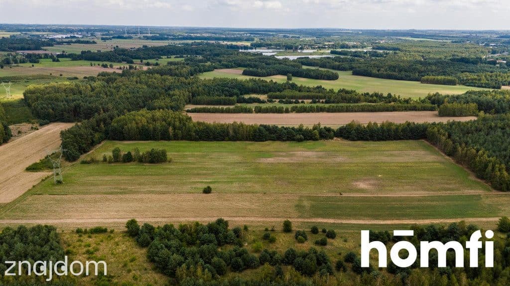 Działka bogata w piach, niedaleko Szydłowca. - zdjęcie 13