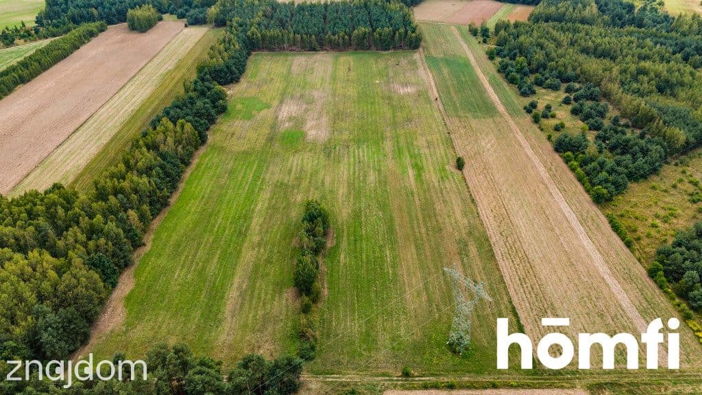 Działka bogata w piach, niedaleko Szydłowca. - zdjęcie 14