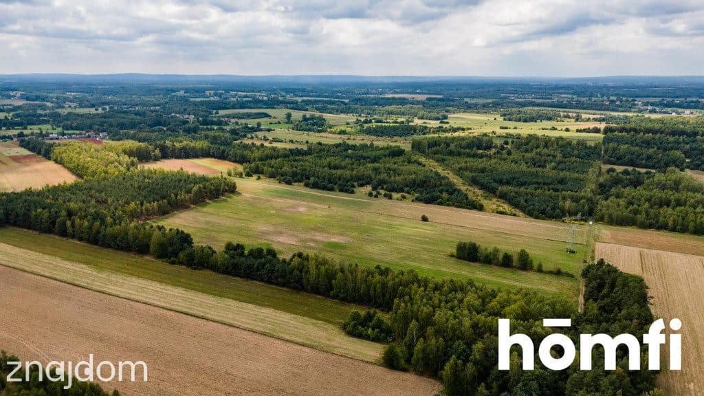 Działka bogata w piach, niedaleko Szydłowca. - zdjęcie 15