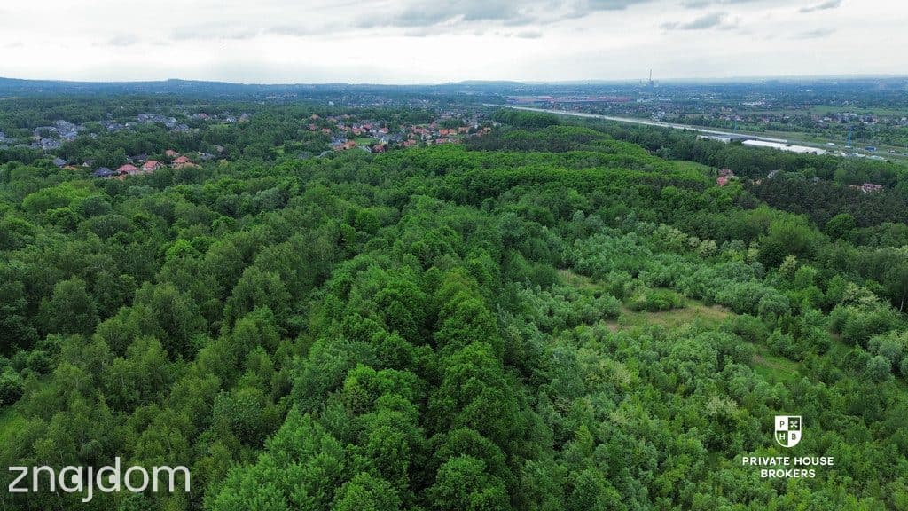 Na sprzedaż piękna widokowa, 17,3a w Zakrzowie