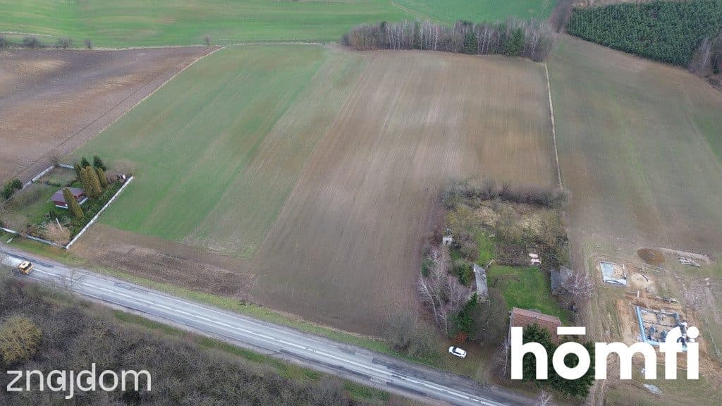 Wyjątkowe miejsce z ogromnym potencjałem – Lipówka - zdjęcie 10