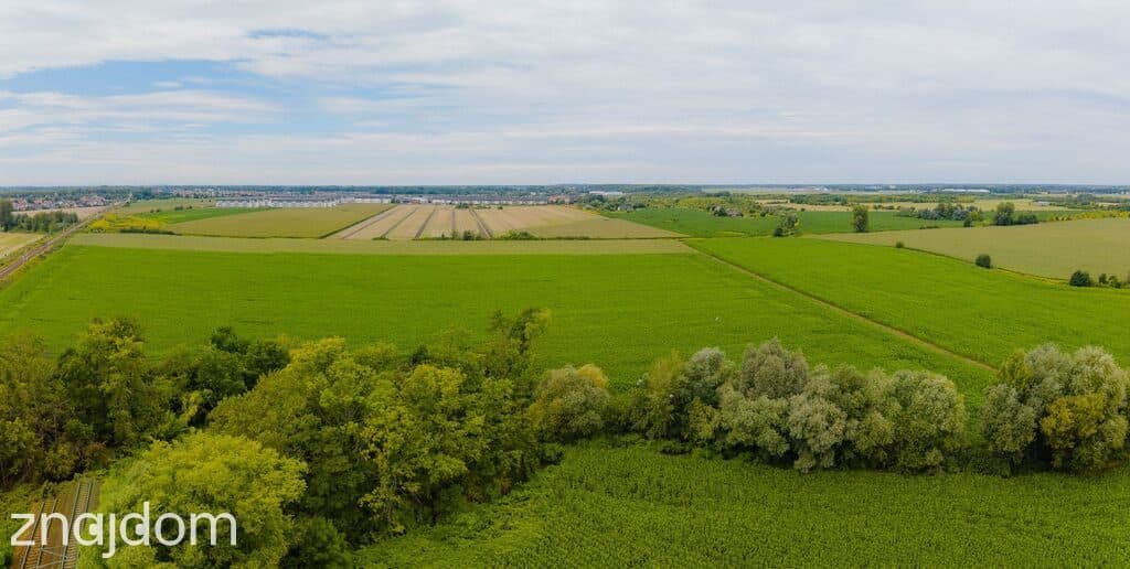 10297 m2 | Obszar Przemysłowy, Muchobór Wielki - zdjęcie 16
