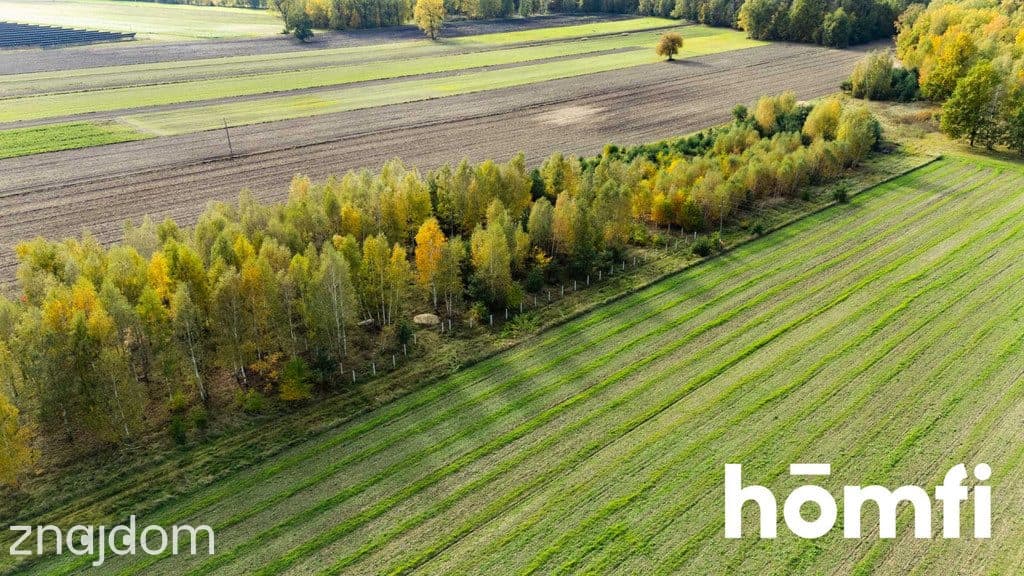 Piękne działki po 1000 m2 z WZ - gmina Jedlińsk - zdjęcie 2