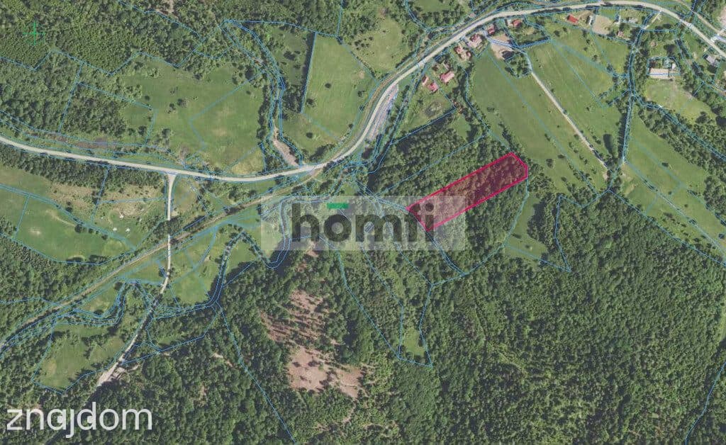 6,86 Ha na sprzedaż Żubracze - zdjęcie 7