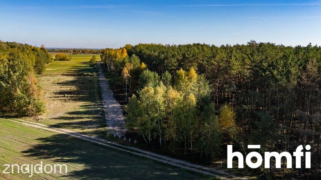 UROKLIWE DZIAŁKI BUDOWLANE DĄBRÓWKA NAGÓRNA - zdjęcie 18