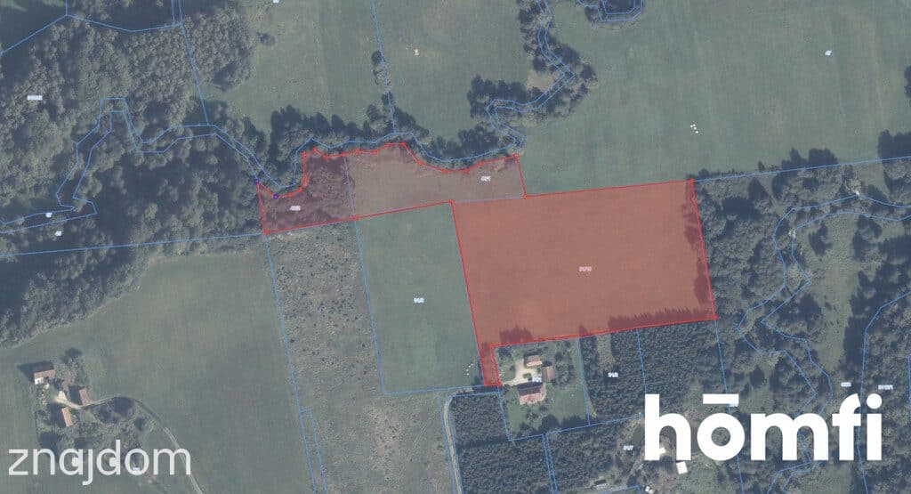 działka RIVa 2,61 ha Zaścianki, elbląski - zdjęcie 6