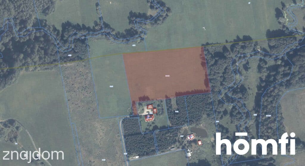 działka RIVa 2,61 ha Zaścianki, elbląski - zdjęcie 7