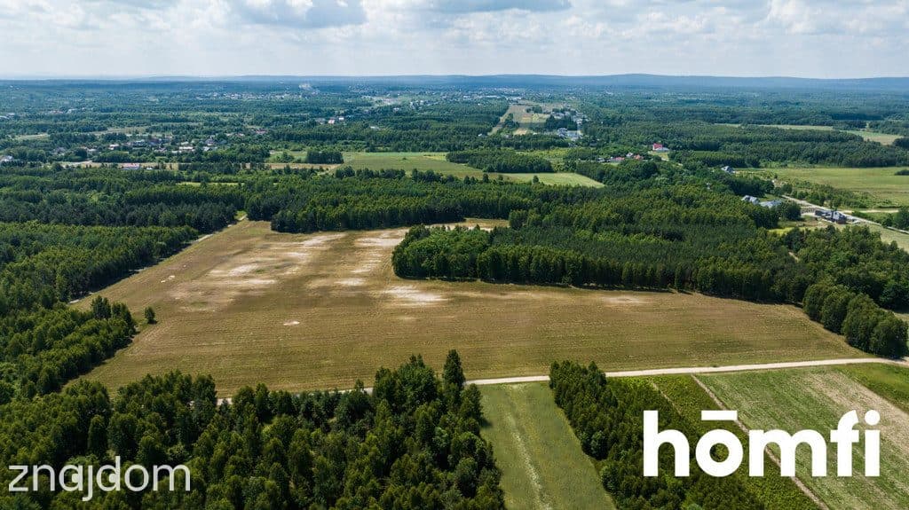 Ostatnie 5 uzbrojonych działek w Zdziechowie - zdjęcie 3