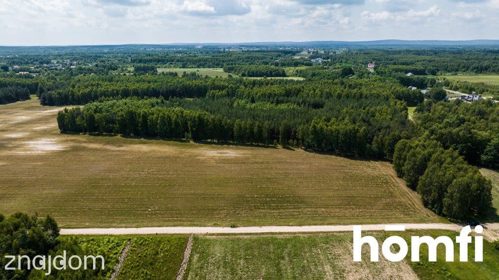 Ostatnie 5 uzbrojonych działek w Zdziechowie - zdjęcie 9
