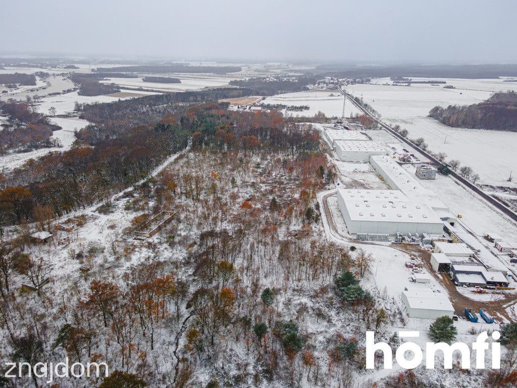 GRUNTY INWESTYCYJNE W POGALEWIE WIELKIM - 9,43 HA - zdjęcie 2