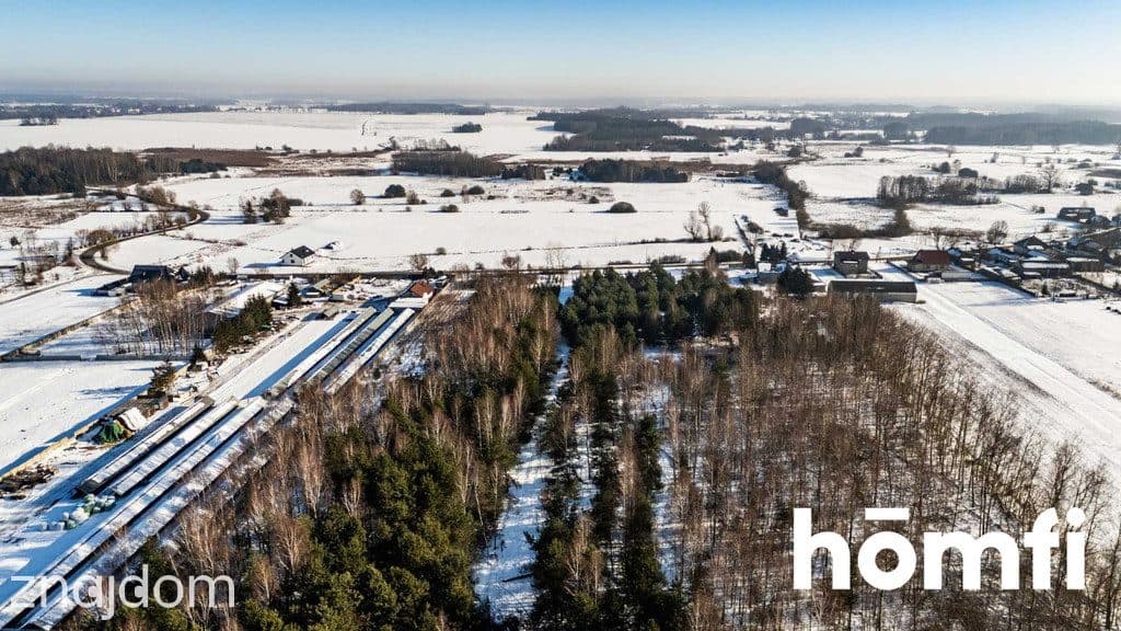 Działki z WARUNKAMI ZABUDOWY 3101 lub 5031m2 - zdjęcie 7