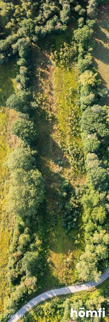 PIĘKNA DZIAŁKA Z ZALESIENIEM Z WIDOKIEM NA WISŁĘ - zdjęcie 4