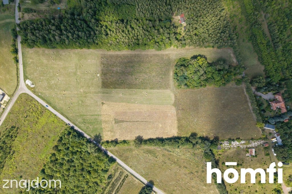 2,7 ha gruntu usługowego z MPZP | Łódź - zdjęcie 2