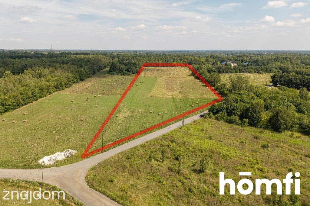 2,7 ha gruntu usługowego z MPZP | Łódź - zdjęcie 3