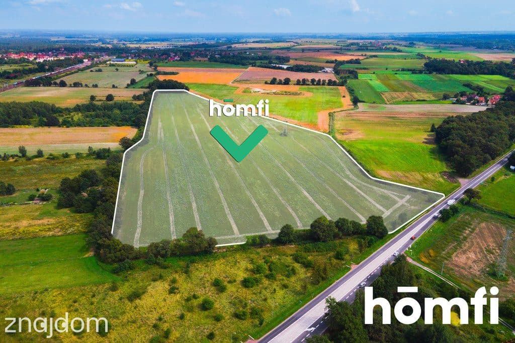 Działka inwestycyjna 11,9 ha w Mazurowicach - zdjęcie 2