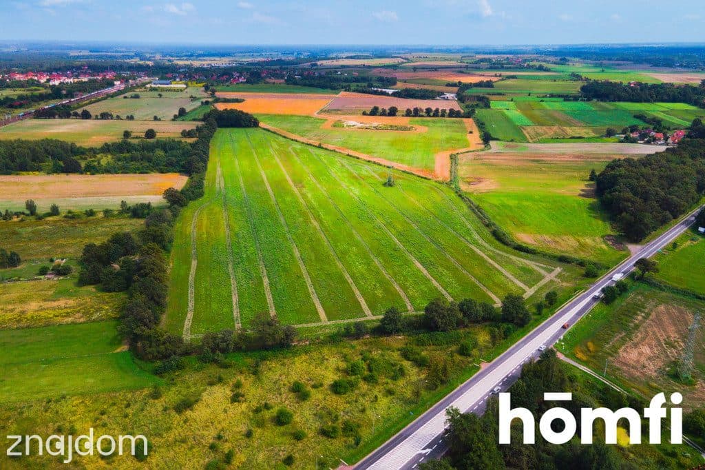 Działka inwestycyjna 11,9 ha w Mazurowicach - zdjęcie 3