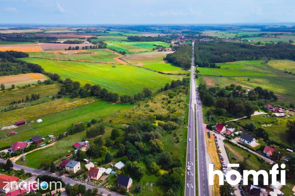Działka inwestycyjna 11,9 ha w Mazurowicach - zdjęcie 4