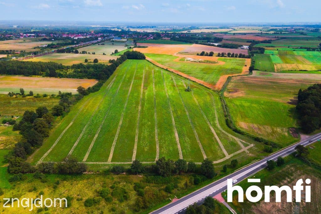 Działka inwestycyjna 11,9 ha w Mazurowicach - zdjęcie 5