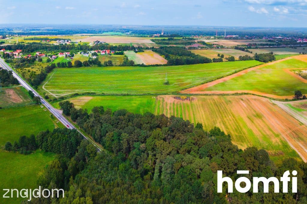 Działka inwestycyjna 11,9 ha w Mazurowicach - zdjęcie 6