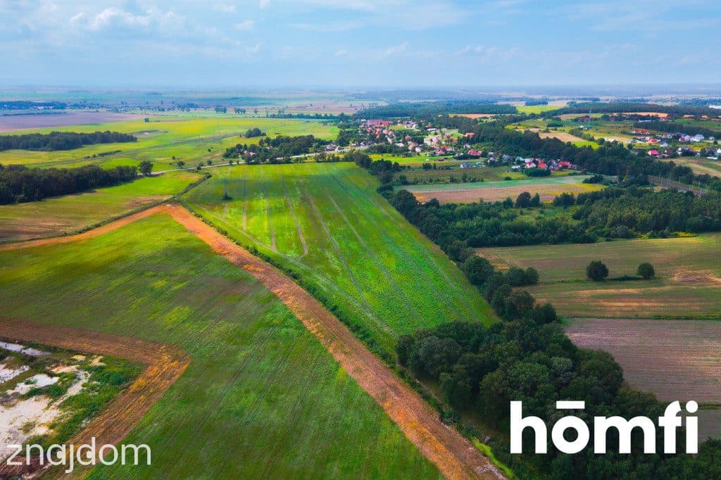 Działka inwestycyjna 11,9 ha w Mazurowicach - zdjęcie 8