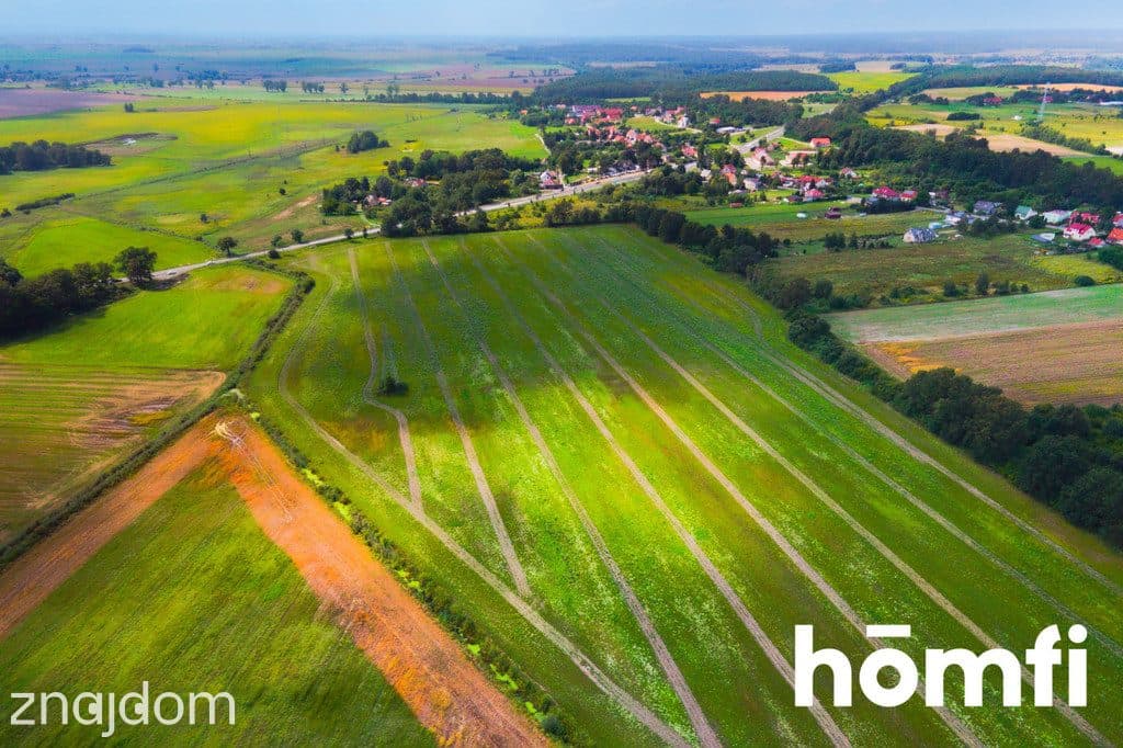 Działka inwestycyjna 11,9 ha w Mazurowicach - zdjęcie 9