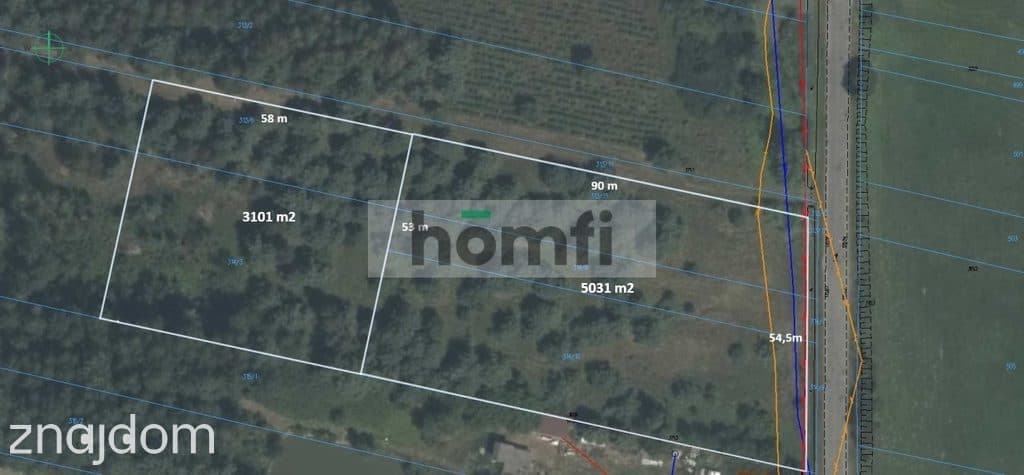 Działki z WARUNKAMI ZABUDOWY 3101 lub 5031m2 - zdjęcie 4