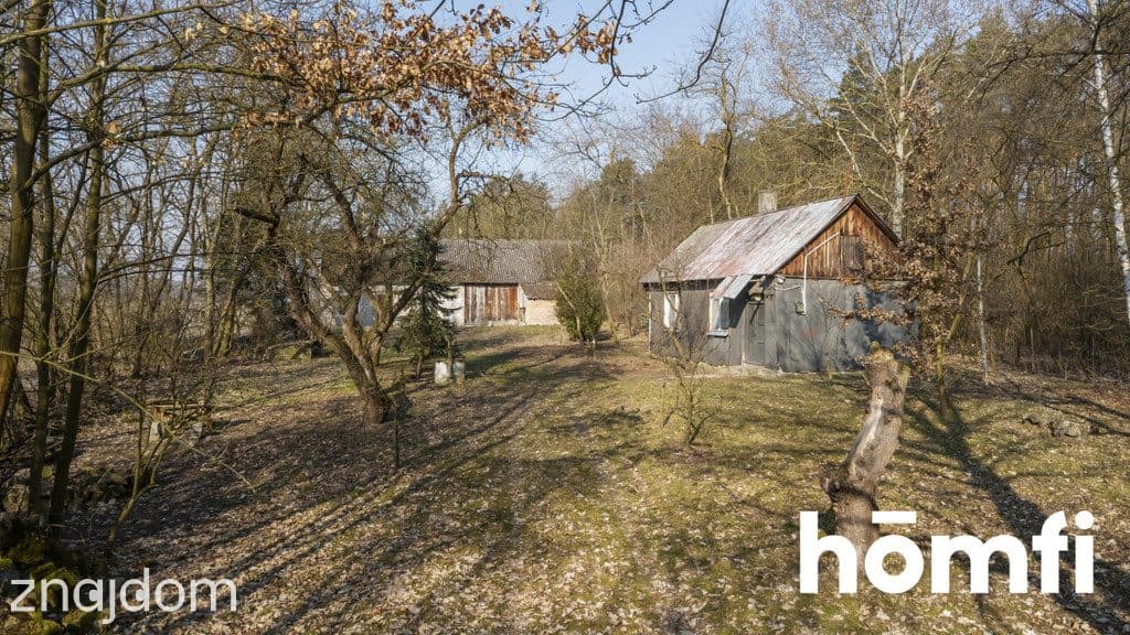 Działka rolno-budowlana przy lesie - zdjęcie 7