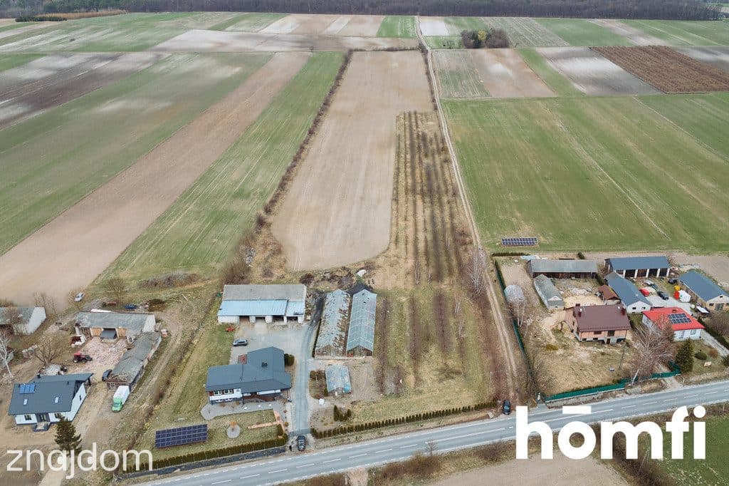 Działka Borowina Starozamojska 3000 m2 z WZ - zdjęcie 11