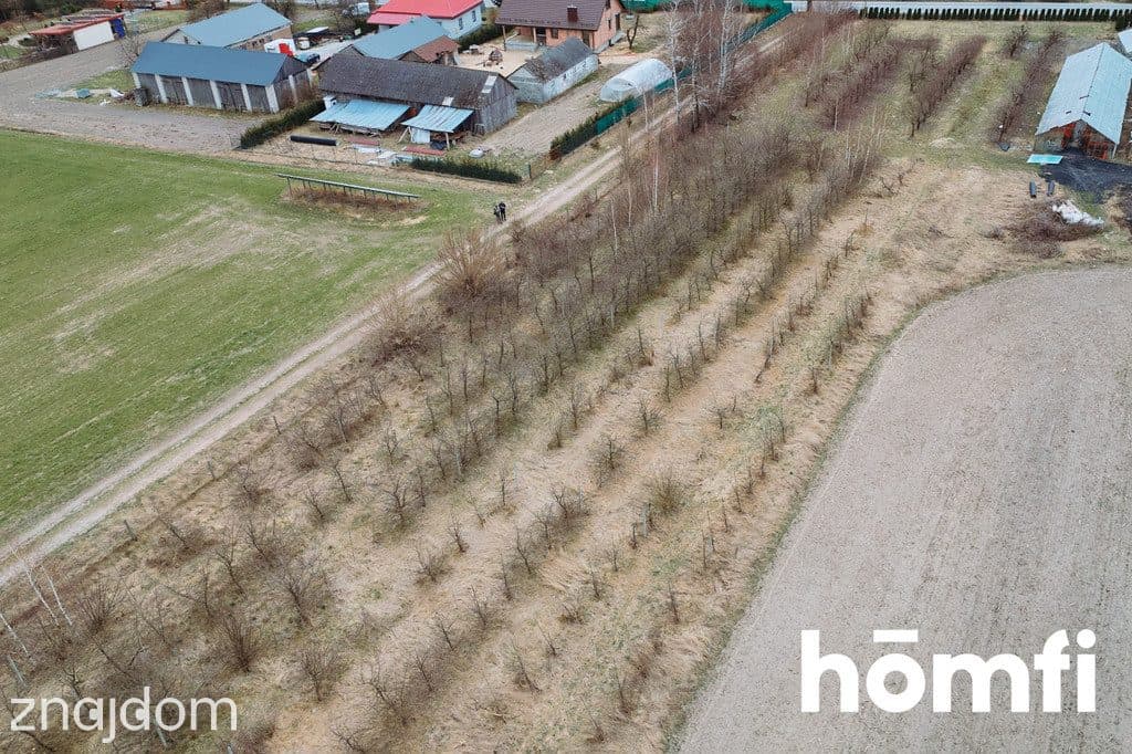 Działka Borowina Starozamojska 3000 m2 z WZ - zdjęcie 16