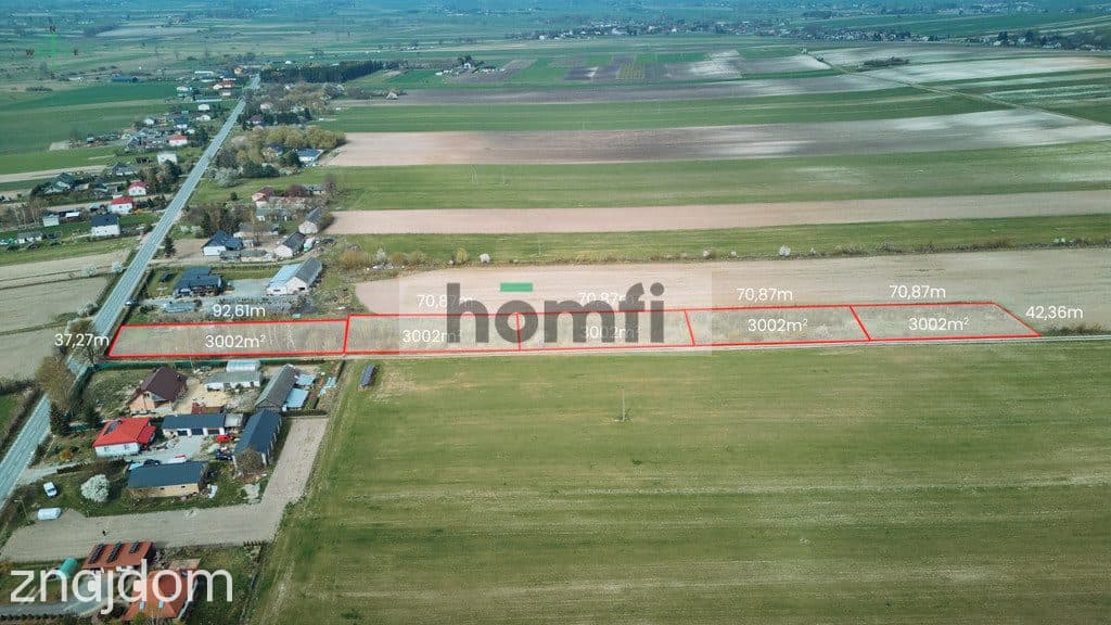Działka Borowina Starozamojska 3000 m2 z WZ - zdjęcie 2