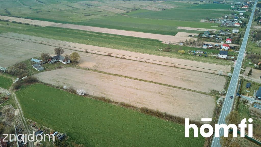 Ładna Działka Borowina Starozamojska 3000 m2 z WZ - zdjęcie 6