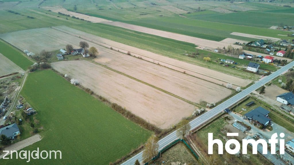 Ładna Działka Borowina Starozamojska 3000 m2 z WZ - zdjęcie 7