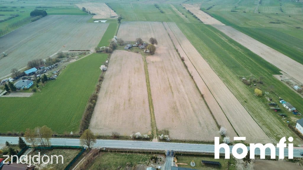 Ładna Działka Borowina Starozamojska 3000 m2 z WZ - zdjęcie 8