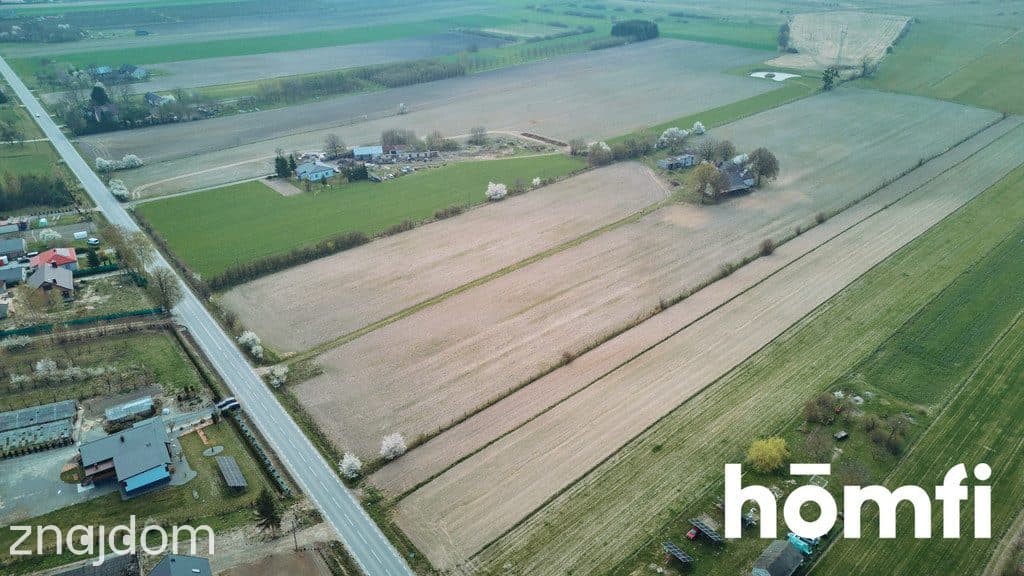 Ładna Działka Borowina Starozamojska 3000 m2 z WZ - zdjęcie 10