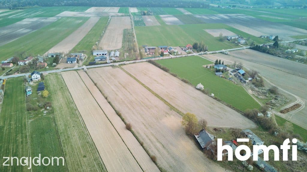 Ładna Działka Borowina Starozamojska 3000 m2 z WZ - zdjęcie 15