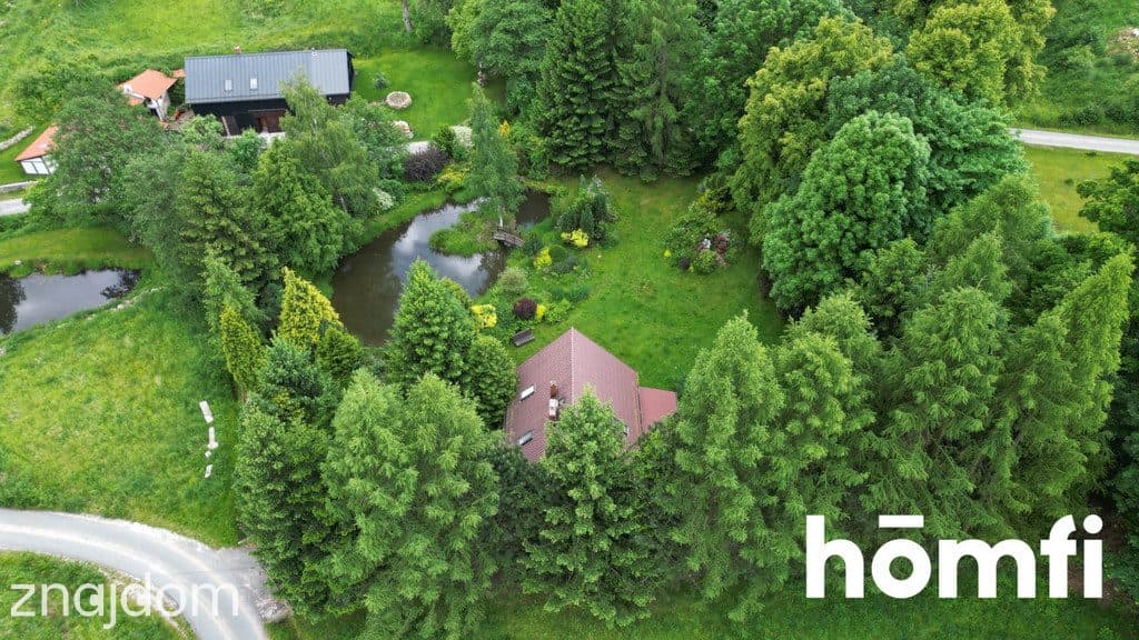 Dom i działka marzeń, staw, strumyk, Polanica - zdjęcie 9