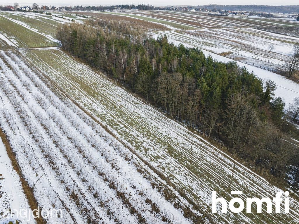 Działka budowlana | wielki ogród | cicha okolica - zdjęcie 14