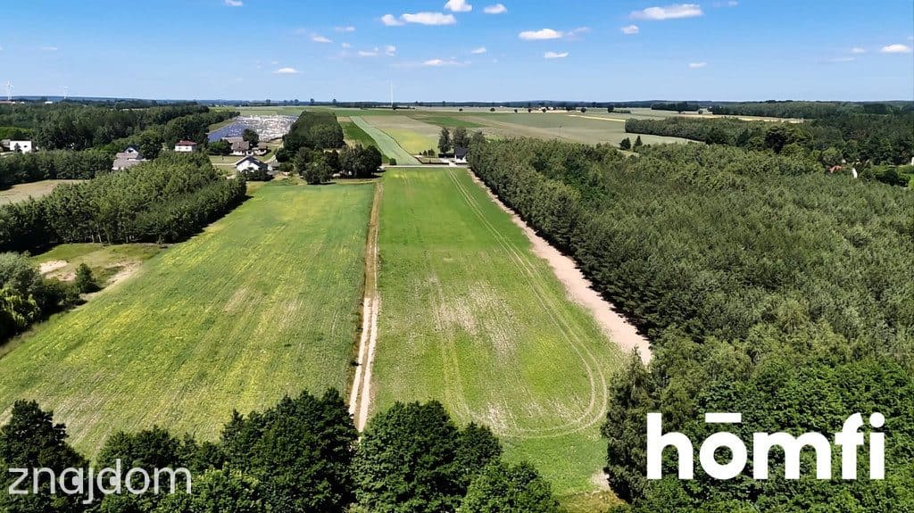 Działka 1,66 ha z WZ na 8 Domów i Budynek Usługowy - zdjęcie 3