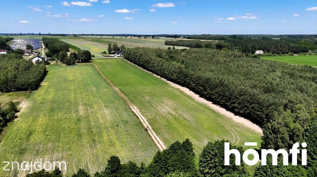 Działka 1,66 ha z WZ na 8 Domów i Budynek Usługowy - zdjęcie 4