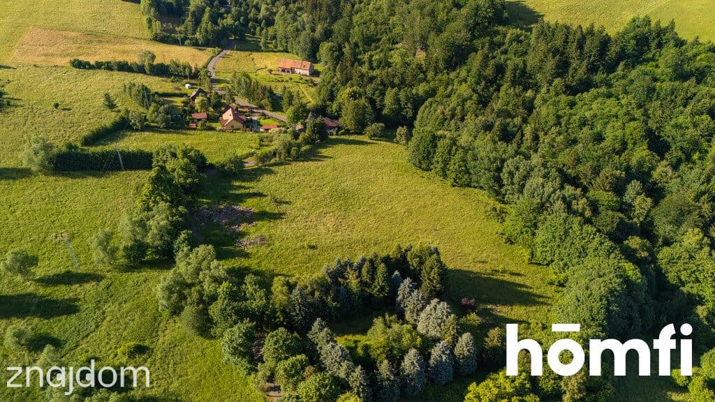 Walim | Góry Sowie | Blisko lasu