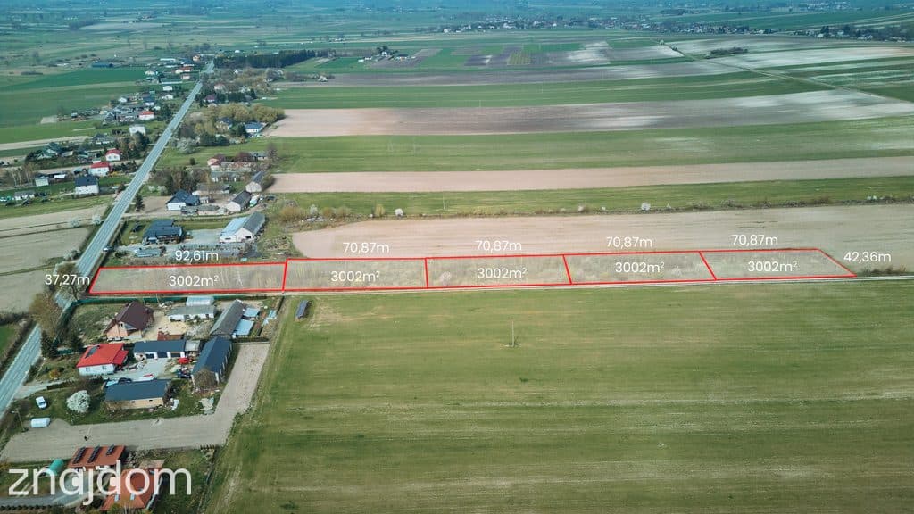 Działka Borowina Starozamojska 3000 m2 z WZ - zdjęcie 19